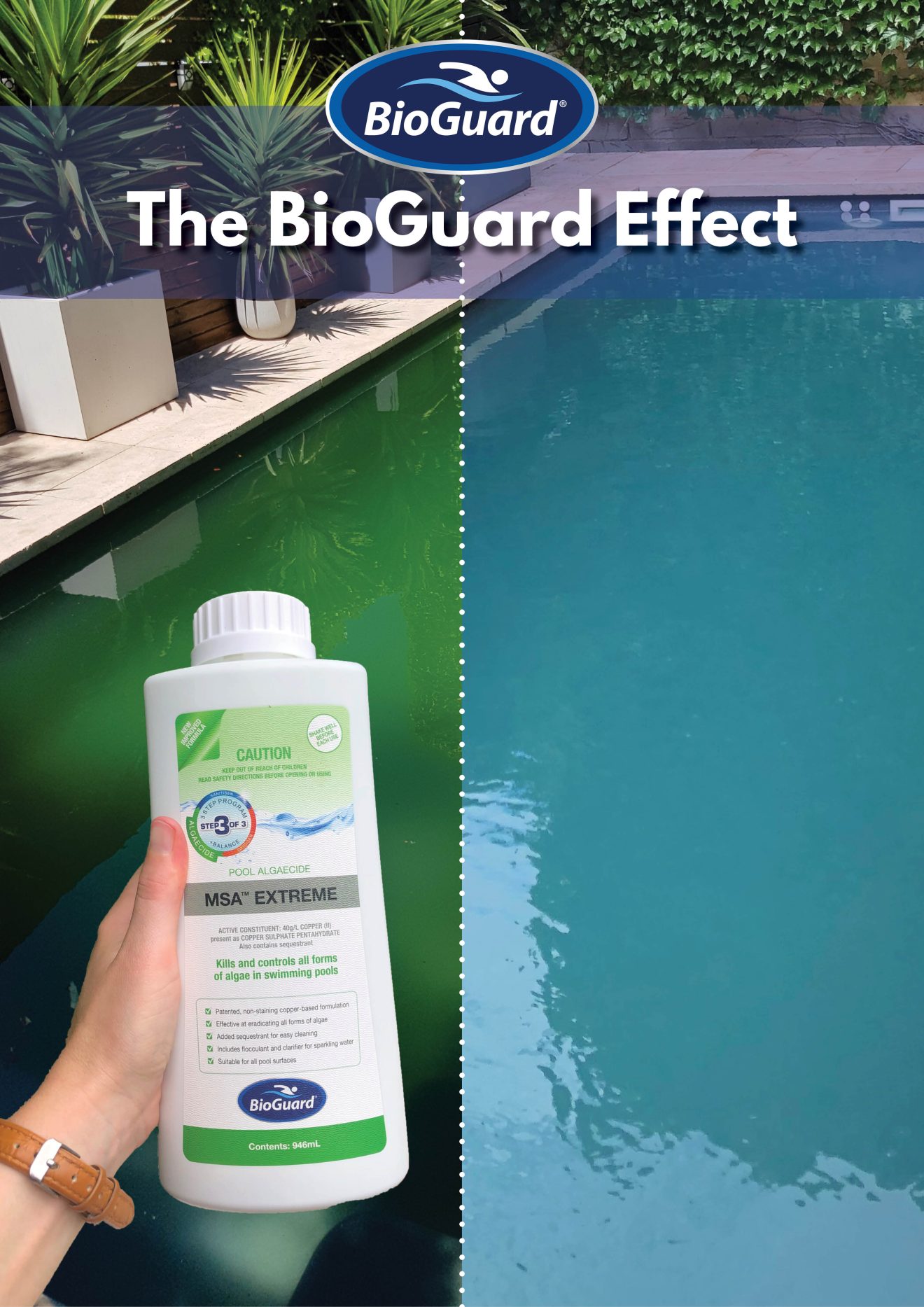 Algaecide MSA Extreme Pool Water Specialists