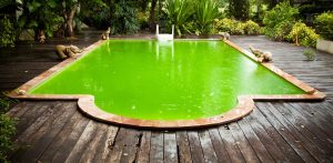 Green Pool Rescue Pack